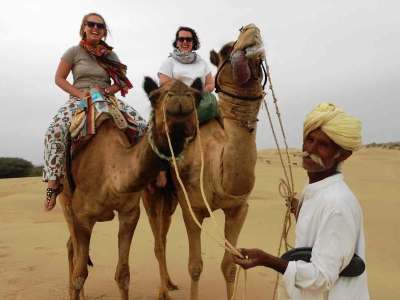 Camels on sand dunes