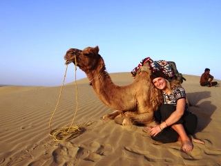 Camel Safari